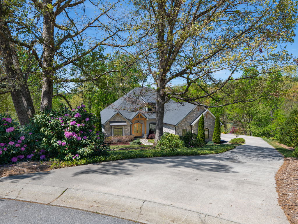 Winding paved driveway approach framed by mature mountain trees