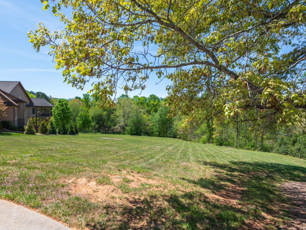 Sun-drenched private lawn bordered by majestic native hardwoods