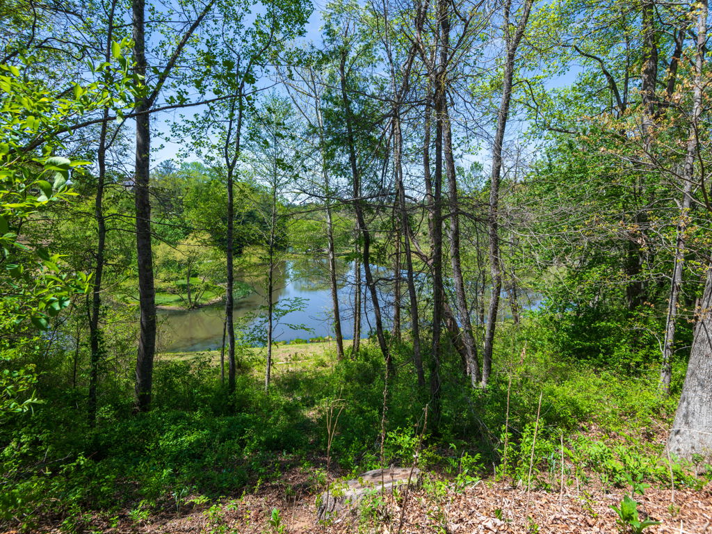 Waterford Lake shimmering through the summer hardwood canopy