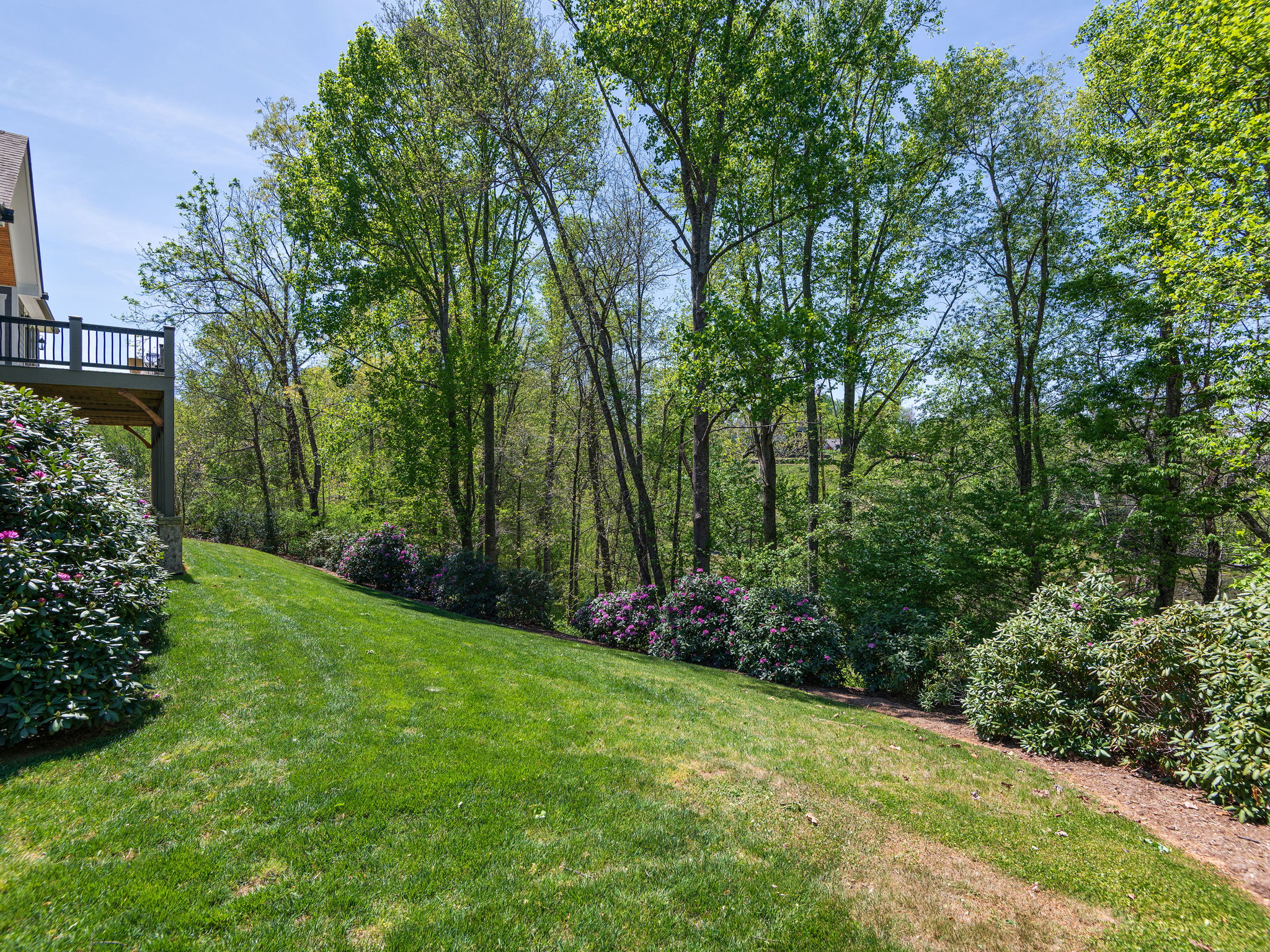 Blue Ridge Mountain Views