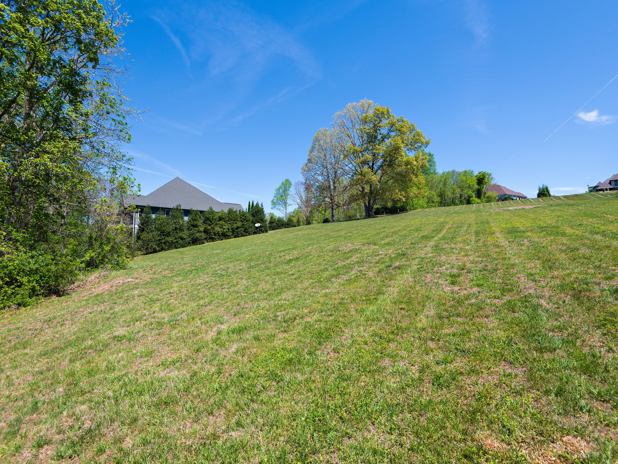 Mountain Range Views