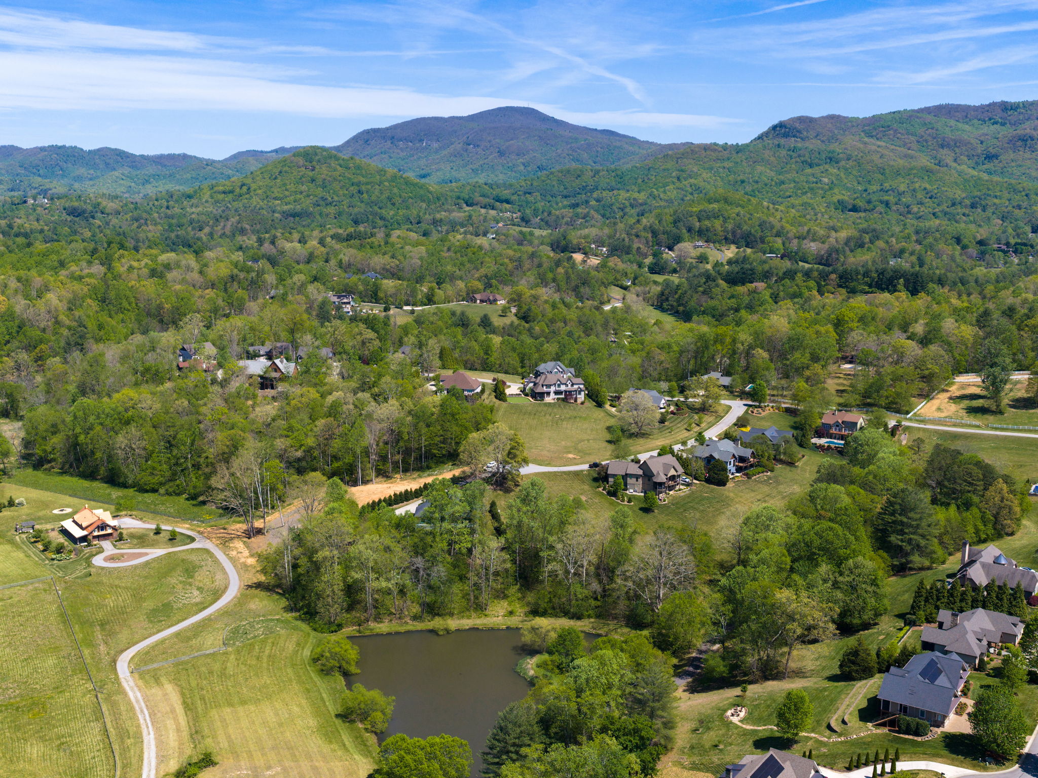 Living room — custom built-ins